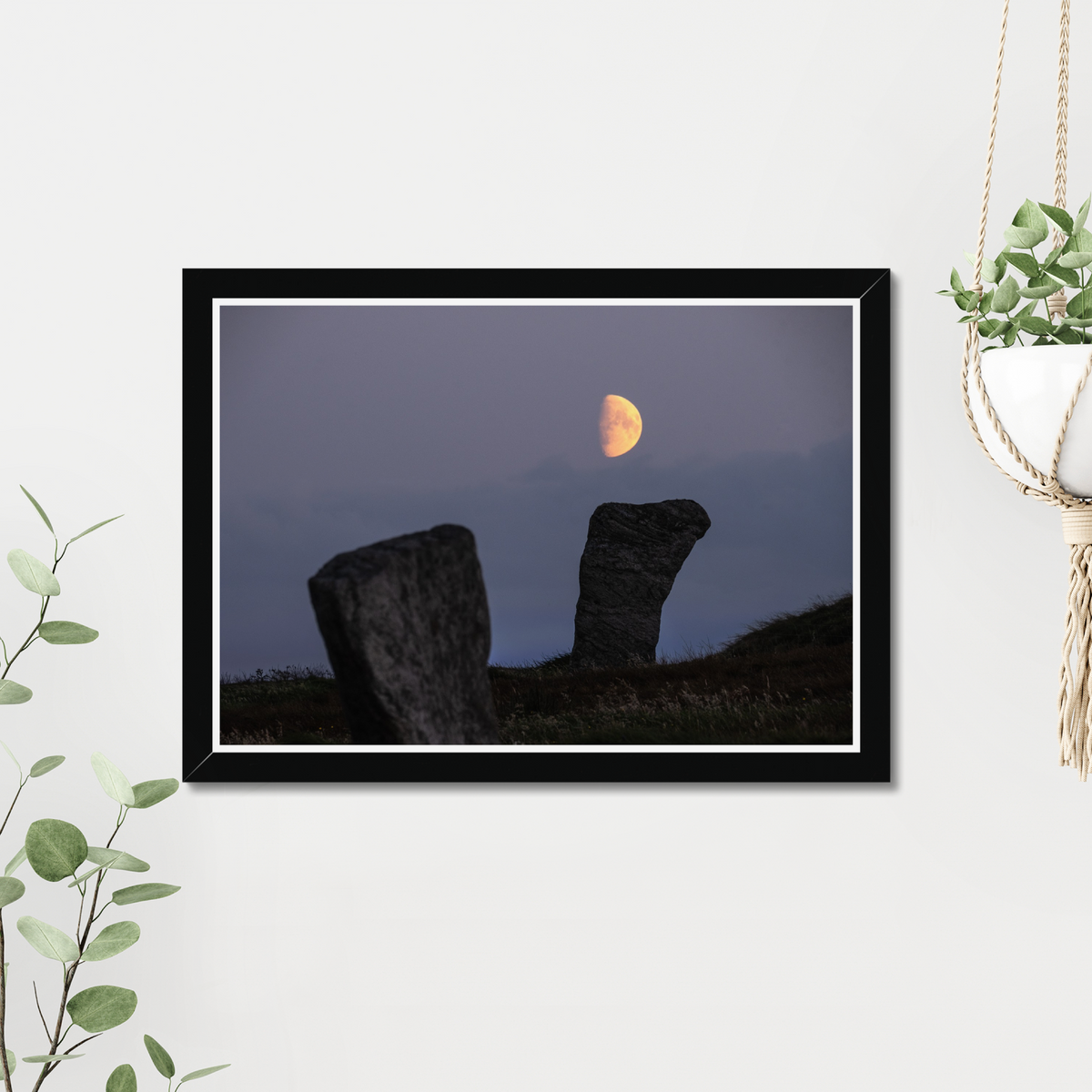 Callanish Standing Stones and low Southern moon - Framed print